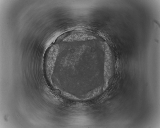 X0000102790292200809151131