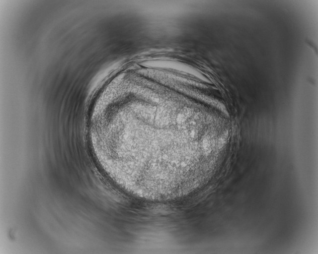 X0000102790293200809151131