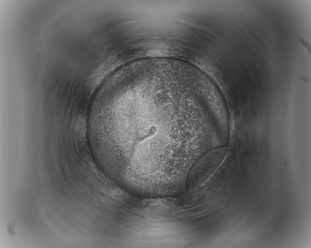 X0000102790297200809151131