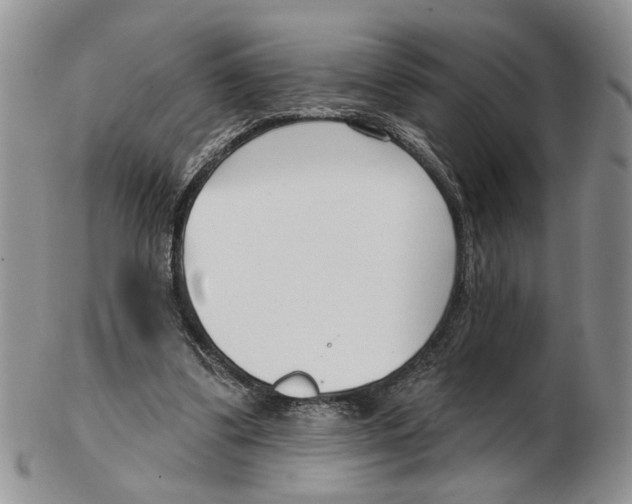 X0000102790299200809151131