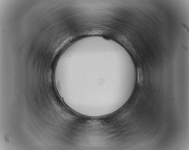 X0000102790300200809151131