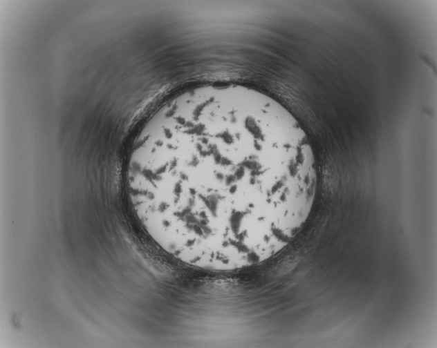 X0000102790304200809151131