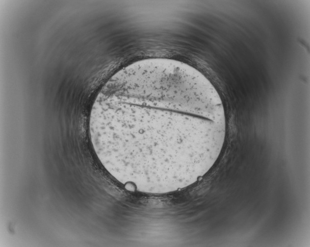 X0000102790305200809151131