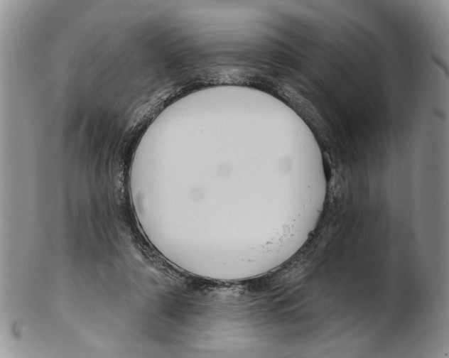 X0000102790306200809151131