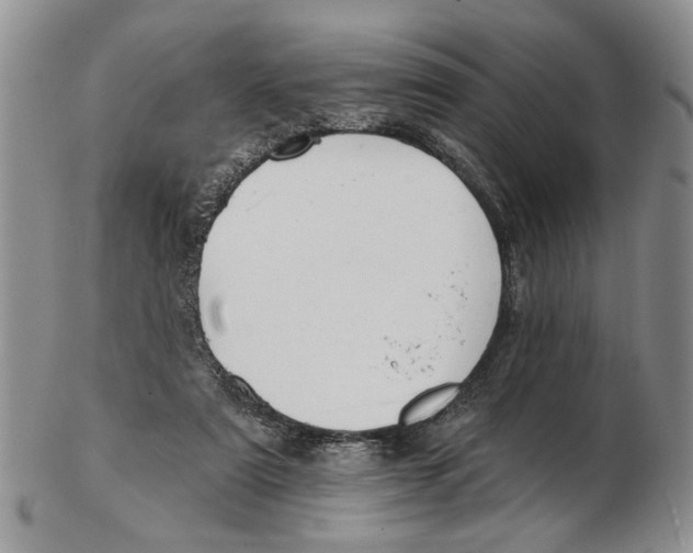 X0000102790307200809151131