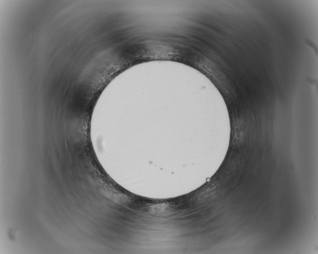 X0000102790309200809151131