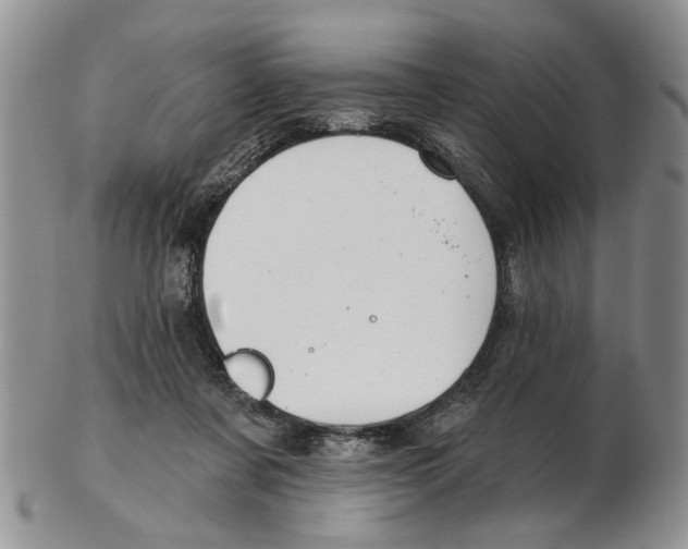 X0000102790311200809151131