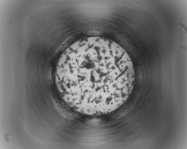 X0000102790312200809151131