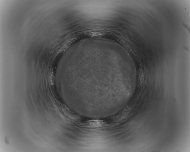 X0000102790316200809151131