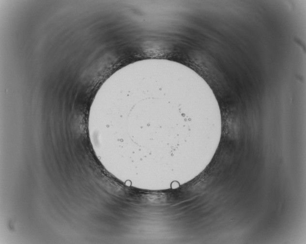 X0000102790317200809151131