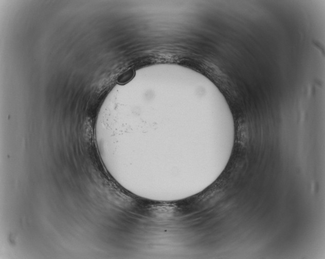 X0000102790318200809151131