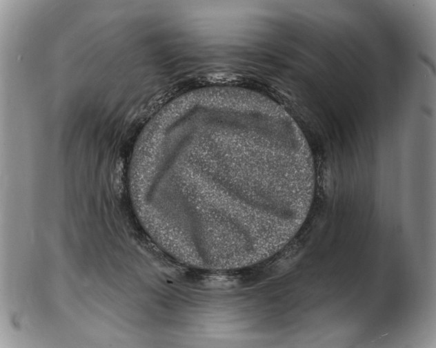 X0000102790319200809151131