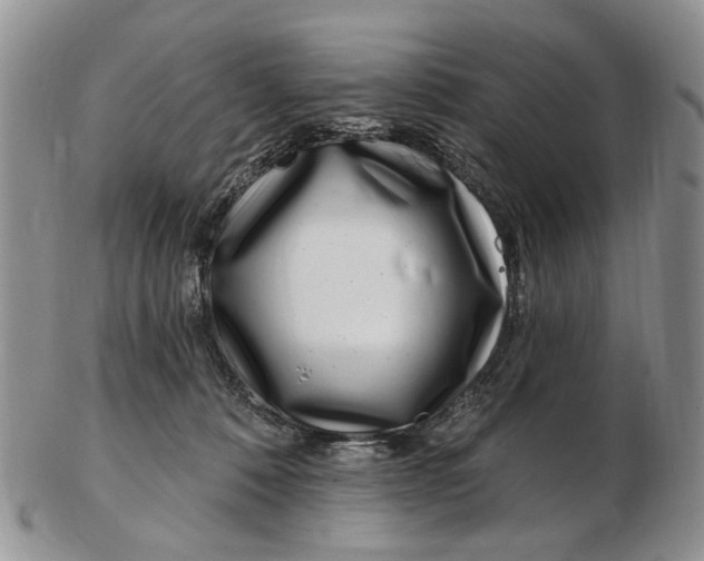 X0000102790320200809151130