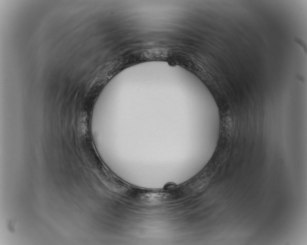 X0000102790323200809151130