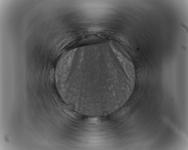 X0000102790325200809151130