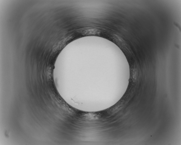 X0000102790326200809151130