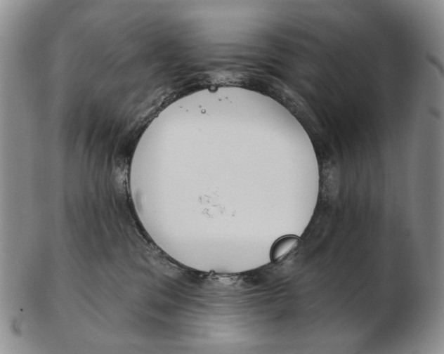 X0000102790329200809151130