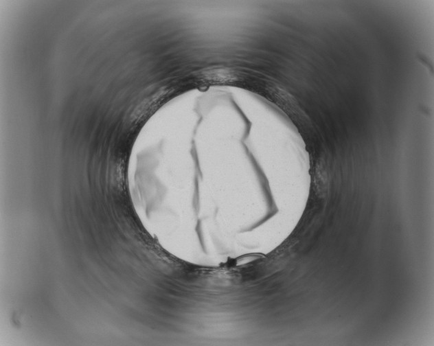 X0000102790330200809151130