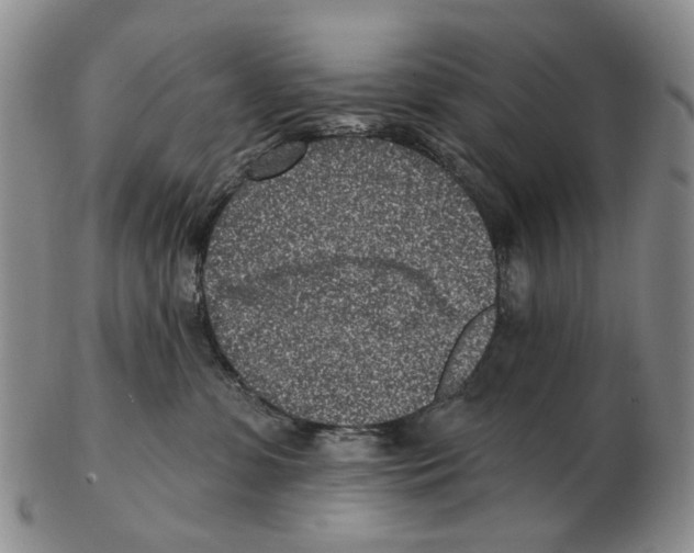 X0000102790331200809151130