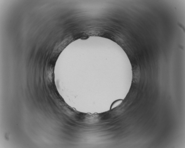 X0000102790334200809151130