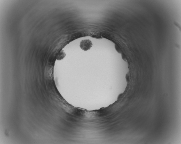 X0000102790336200809151130