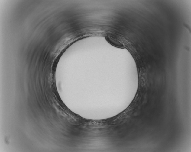 X0000102790338200809151130