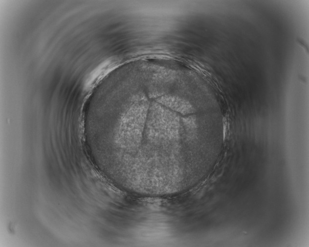 X0000102790339200809151130