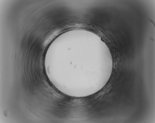 X0000102790341200809151130