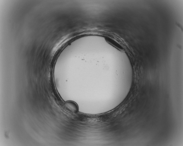 X0000102790344200809151130