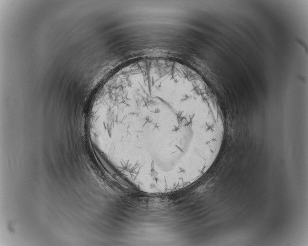 X0000102790347200809151130