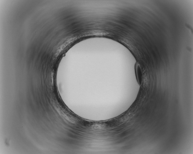 X0000102790350200809151130