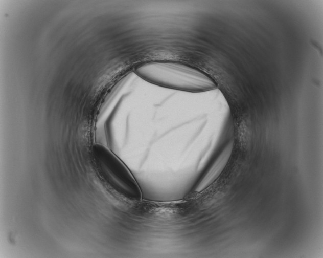 X0000102790352200809151130