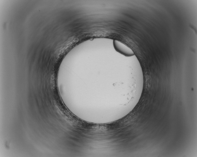 X0000102790354200809151130