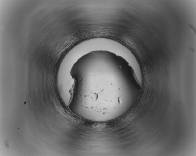 X0000102790362200809151130