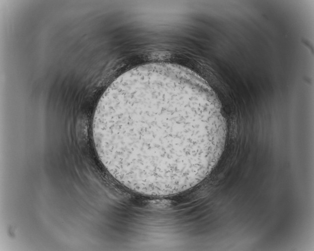 X0000102790363200809151130