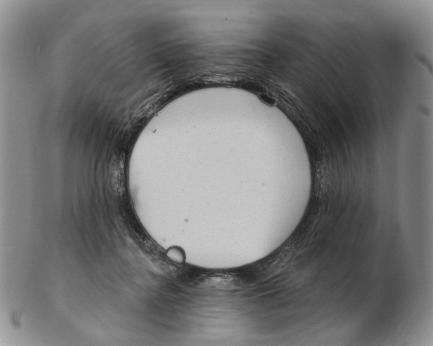 X0000102790364200809151130