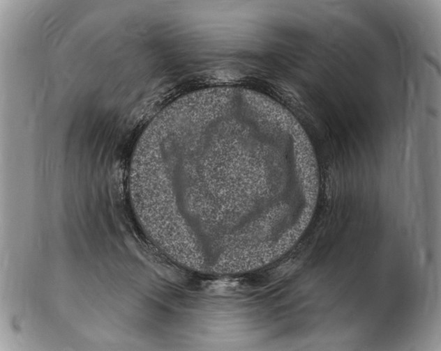 X0000102790366200809151130