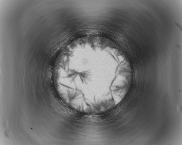 X0000102790367200809151130