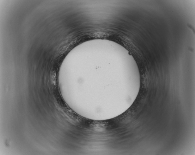 X0000102790368200809151130