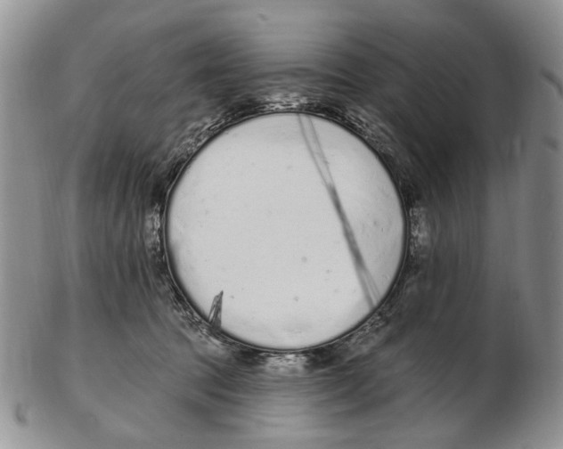 X0000102790369200809151130