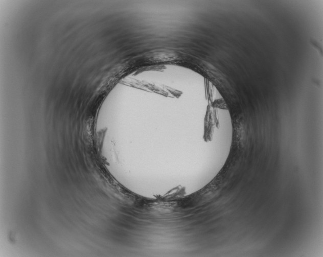 X0000102790373200809151130