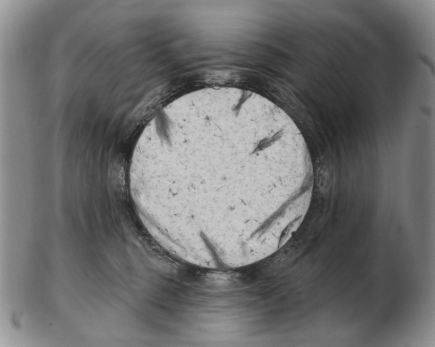 X0000102790375200809151130