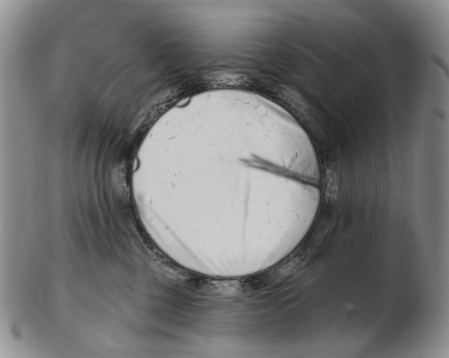 X0000102790377200809151130