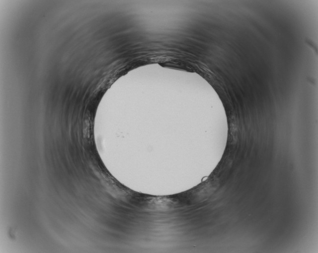 X0000102790379200809151130