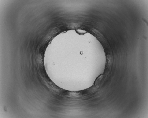 X0000102790380200809151130