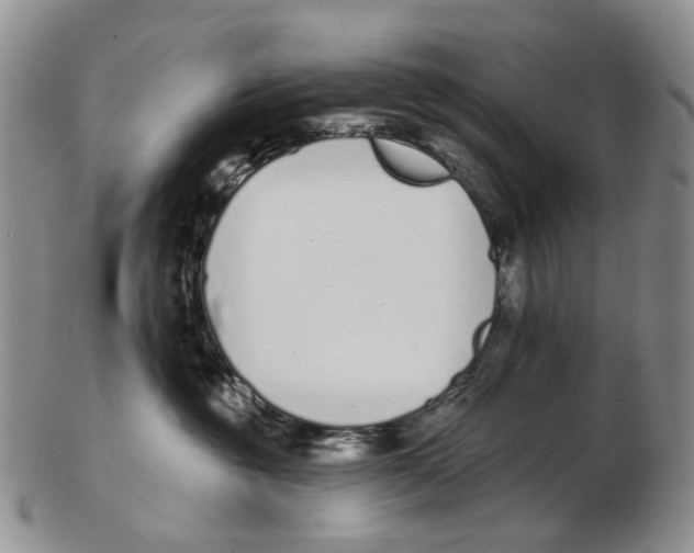 X0000102790381200809151130