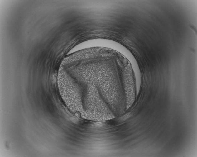 X0000102790382200809151130