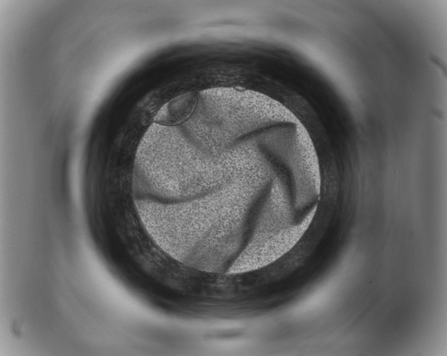 X0000102790383200809151130