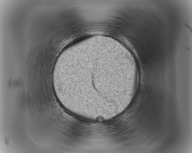 X0000102790385200809151130