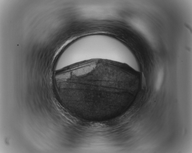 X0000102790387200809151130